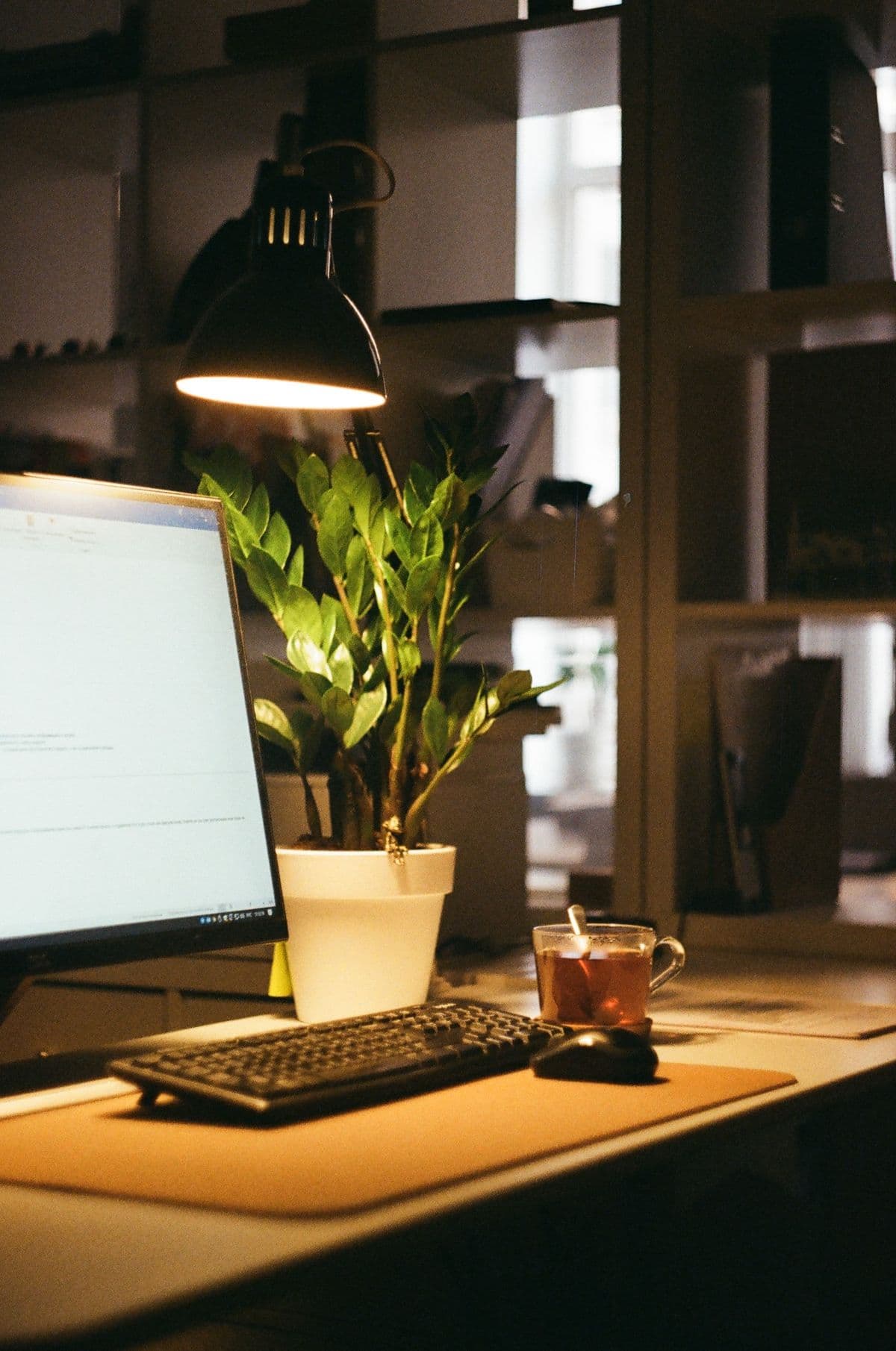 A desk lamp, plant and notebook in the corner of the office